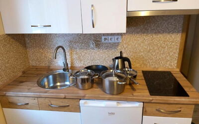 Rieger 1 247.1: Countertop, Gootsteen, Cabinetry, Wastafel, Kraan, Eigendom, Toestel Van De Keuken, Fornuis, Keuken, Loodgieterswerkinrichting