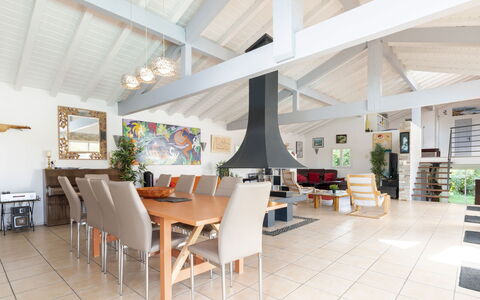 Villa Suerte: Meubilair, Tafel, Stoel, Kamerplant, Verdieping, Fabriek, Flooring, Hout, Bloempot, Woonkamer