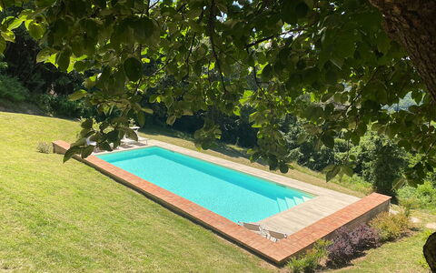 San Tommaso: Fabriek, Zwembad, Water, Rechthoek, Schaduw, Gras, Vrije Tijd, Struik, Landschap, Groundcover