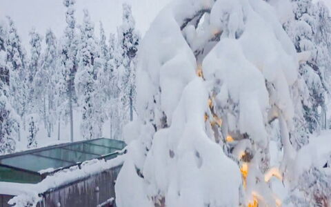 Levi Secret Igloo Ruska 8D: Hout, Architectuur, Verblijf, Huis, Huis, Siding, Dak, Helling, Blokhut