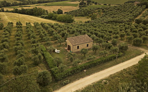 Montauto: Fabriek, Gebouw, Natuurlijk Landschap, Huis, Land Lot, Hoogland, Boom, Landbouw, Grasland, Gras