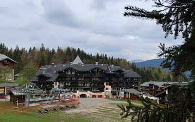 Morillon 604