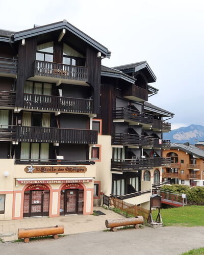 Morillon 604
