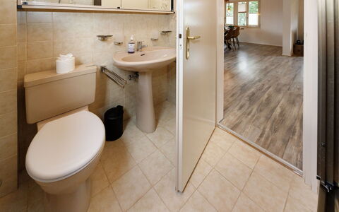 Chalet Dori: Flooring, Loodgieterswerkinrichting, Wastafel In De Badkamer, Muur, Verdieping, Interieur Ontwerp, Hout, Badkamer, Wastafel, Toilet