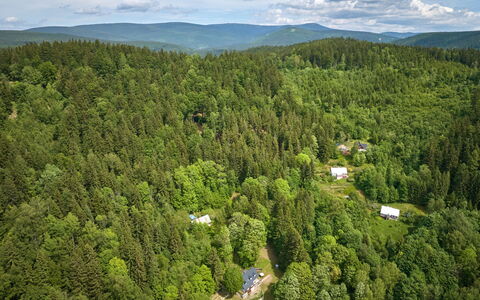 Sunny Slope & Sauna: Boom, Natuurlijke Omgeving, Natuur, Blad, Vegetation, Woud, Landschap, Ecoregio, Plantengemeenschap, Land Lot