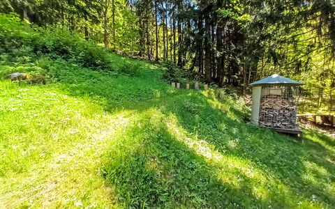 Sunny Slope & Sauna: Fabriek, Boom, Natuurlijk Landschap, Gras, Groundcover, Schaduw, Landschap, Struik, Grasland, Plantendiversiteit