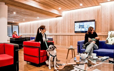 Accommodatie:&nbsp;Odalys Collection les Fermes de Chatel 800.3