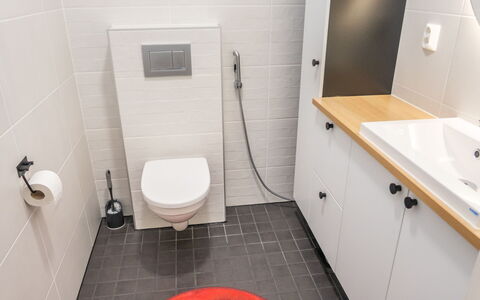 Saukonpesä B: Wc Bril, Badkamer, Toilet, Flooring, Loodgieterswerkinrichting, Interieur Ontwerp, Muur, Verdieping, Wastafel In De Badkamer, Wastafel
