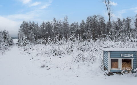 Kivilahti Vuokatti: Hout, Verblijf, Huis, Blokhut, Timmerhout, Siding, Hardwood, Natuurlijk Materiaal, Garden Gebouwen, Hut