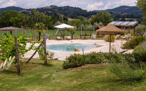 Villa Tavernacce: Water, Fabriek, Lucht, Eigendom, Wolk, Zwembad, Boom, Berg, Zwemwater, Natuurlijk Landschap