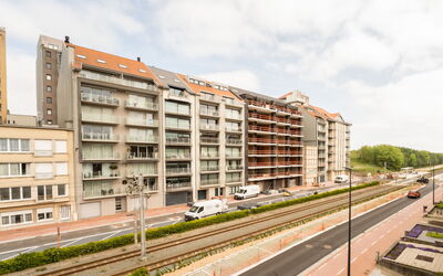 Accommodatie:&nbsp;Andrei with Parking in the House 810.2