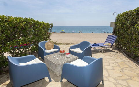 Miami Palace: Lucht, Wolk, Meubilair, Fabriek, Water, Schaduw, Buitenmeubels, Stoel, Strand, Comfort
