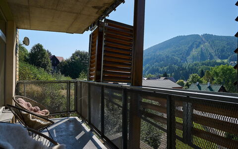 Harrachov 67: Lucht, Eigendom, Fabriek, Hout, Veranda, Schaduw, Gebouw, Boom, Hek, Berg