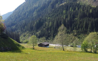 Wanglblick