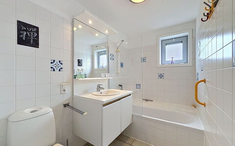 De Haan 990: Badkamer, Loodgieterswerkinrichting, Interieur Ontwerp, Flooring, Wastafel, Verdieping, Kraan, Loodgieter, Wastafel In De Badkamer, Plafond