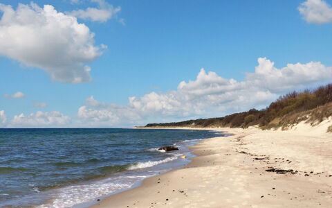 Ansgar - 150M from the Sea: Hout, Meubilair, Appartement, Kamer, Plafond, Beits, Stoel, Hardwood, Vernis, Timmerhout