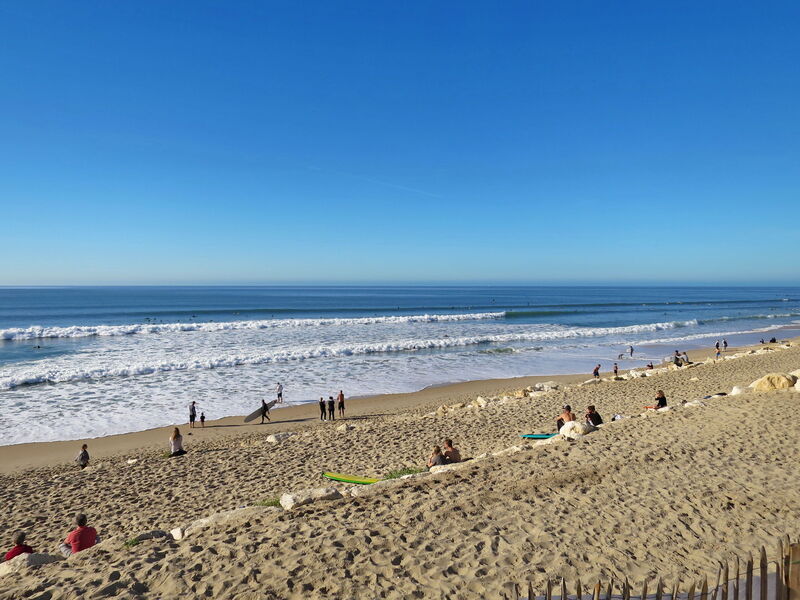 Atlantic Green