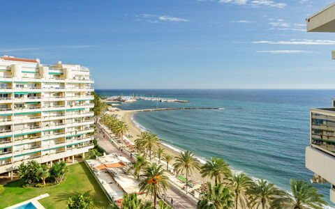 Palm Beach: Water, Lucht, Gebouw, Fabriek, Dag, Eigendom, Wolk, Azure, Boom, Kust En Oceanic Landvormen