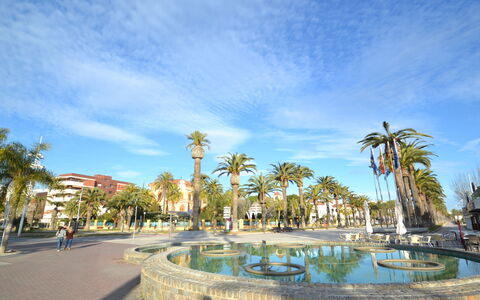 Atico Miramar: Water, Fabriek, Lucht, Eigendom, Natuur, Azure, Zwembad, Boom, Vegetation, Gras