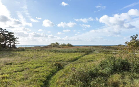 Kajsa - 50M from the Sea: Gras, Huis, Dak, Huis, Verblijf, Struik, Land Lot, Landelijk Gebied, Boerderij, Groundcover