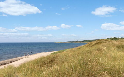 Anarosa - 200M from the Sea: Zwemwater, Kust, Strand, Horizon, Kust En Oceanic Landvormen, Kust, Zee, Zand, Ecoregio, Oceaan
