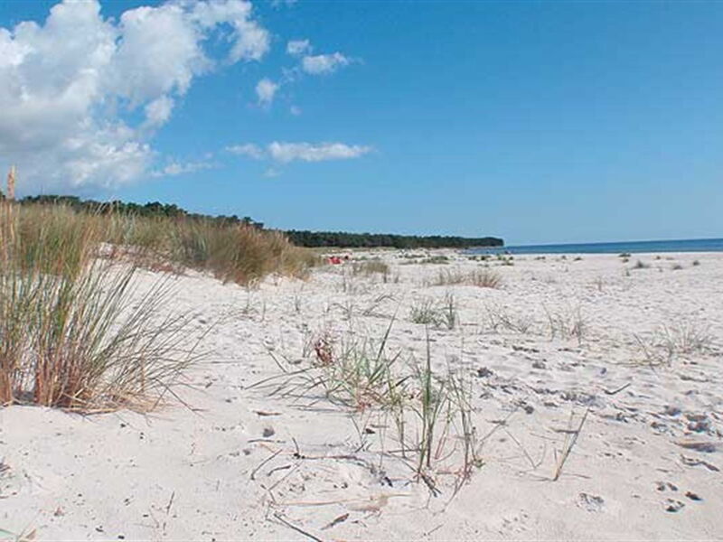 Nis - 200M from the Sea