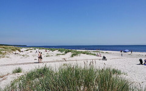 Zeytun - 800M from the Sea: Hout, Meubilair, Appartement, Kamer, Plafond, Beits, Stoel, Hardwood, Vernis, Timmerhout