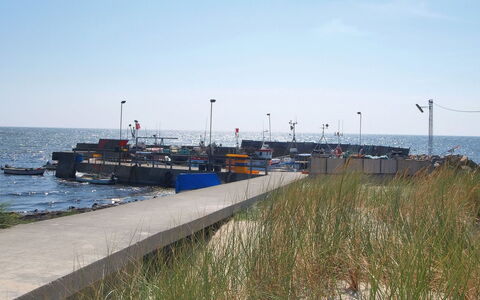 Majken - 300M from the Sea: Hout, Meubilair, Appartement, Kamer, Plafond, Beits, Stoel, Hardwood, Vernis, Timmerhout