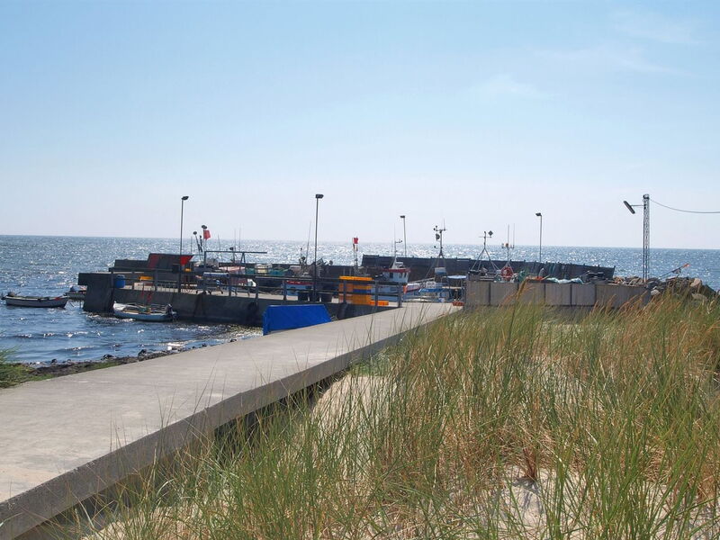 Peadda - 150M from the Sea