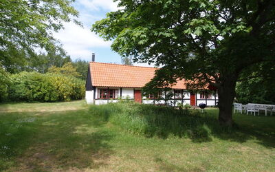 Viggo - 300M from the Sea