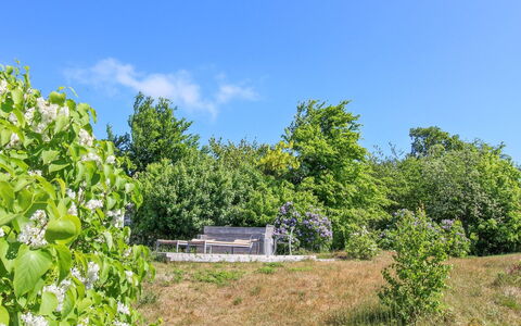 Benna - 120M from the Sea: Blauw, Boom, Groen, Blad, Natuur, Vegetation, Struik, Plantengemeenschap, Land Lot, Landelijk Gebied