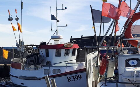 Benna - 120M from the Sea: Boot, Watercraft, Schip, Boten En Varen - Materialen En Benodigdheden, Naval Architecture, Zee, Haven, Haven, Jachthaven