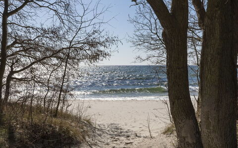 Gottfrieda - 300M from the Sea: Hout, Meubilair, Appartement, Kamer, Plafond, Beits, Stoel, Hardwood, Vernis, Timmerhout