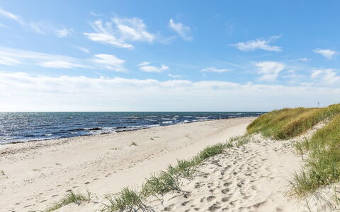 Ailen - 500M from the Sea: Hout, Huis, Verblijf, Huis, Dak, Landelijk Gebied, Siding, Blokhut, Garden Gebouwen, Hardwood