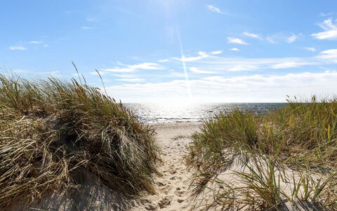 Ailen - 500M from the Sea: Hout, Huis, Verblijf, Huis, Dak, Landelijk Gebied, Siding, Blokhut, Garden Gebouwen, Hardwood