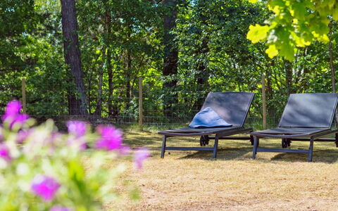 Malou - 350M from the Sea: Meubilair, Buitenmeubels, Plantengemeenschap, Zonlicht, Groundcover, Schaduw, Woud, Natuurgebied, Tuin, Bos
