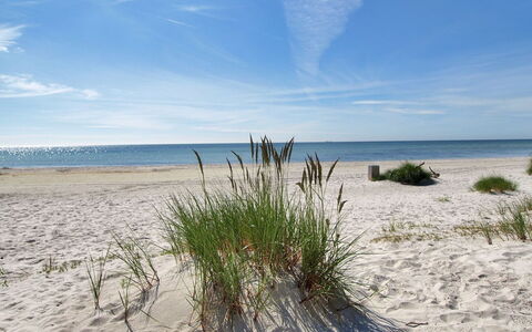 Jose - 300M from the Sea: Dak, Huis, Land Lot, Huis, Verblijf, Landgoed, Garden Gebouwen, Schaduw, Blokhut, Landscaping