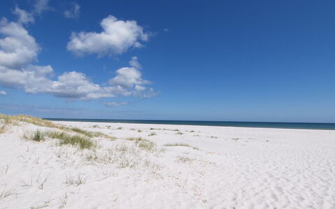 Jose - 300M from the Sea: Dak, Huis, Land Lot, Huis, Verblijf, Landgoed, Garden Gebouwen, Schaduw, Blokhut, Landscaping