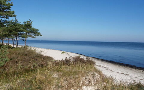 Elsamaria - 400M from the Sea: Blauw, Kust, Strand, Kust En Oceanic Landvormen, Zee, Kust, Horizon, Oceaan, Zand