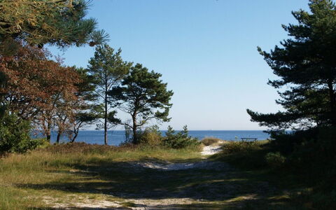 Elsamaria - 400M from the Sea: Lucht, Blauw, Natuurlijke Omgeving, Afdeling, Vegetation, Zomer, Ecoregio, Plantengemeenschap, Wildernis, Trunk