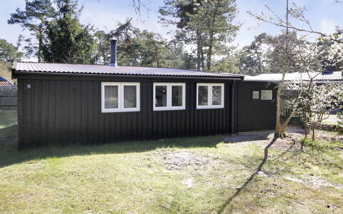 Evert - 250M from the Sea: Hout, Huis, Verblijf, Huis, Dak, Landelijk Gebied, Siding, Blokhut, Garden Gebouwen, Hardwood