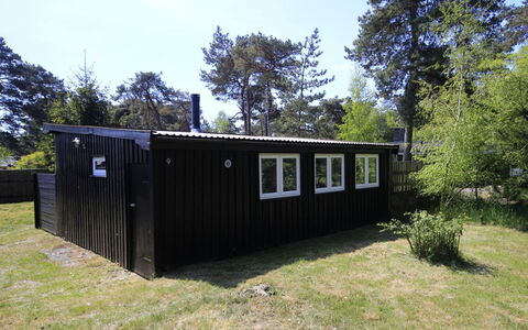 Evert - 250M from the Sea: Hout, Huis, Verblijf, Huis, Dak, Landelijk Gebied, Siding, Blokhut, Garden Gebouwen, Hardwood