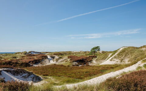 Elza - 800M from the Sea: Lucht, Ecoregio, Terrein, Horizon, Landschap, Plantengemeenschap, Wildernis, Shrubland, Geologie, Helling