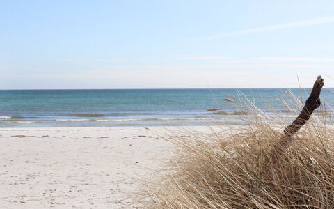Elza - 800M from the Sea: Dak, Huis, Land Lot, Huis, Verblijf, Landgoed, Garden Gebouwen, Schaduw, Blokhut, Landscaping