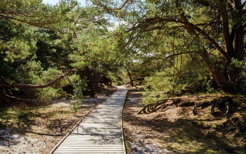 Elza - 800M from the Sea: Dak, Huis, Land Lot, Huis, Verblijf, Landgoed, Garden Gebouwen, Schaduw, Blokhut, Landscaping