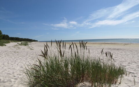 Patti - 150M from the Sea: Hout, Huis, Verblijf, Huis, Dak, Landelijk Gebied, Siding, Blokhut, Garden Gebouwen, Hardwood
