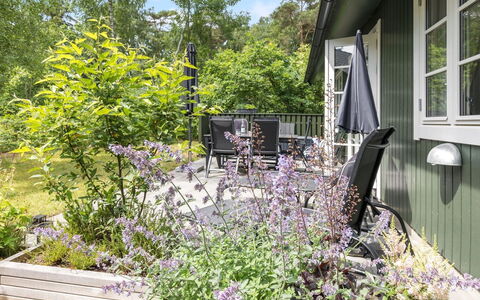Tume - 200M from the Sea: Struik, Tuin, Plantengemeenschap, Groundcover, Backyard, Werf, Landscaping, Schaduw, Hek, Outdoor Structuur
