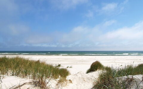 Georg - 300M from the Sea: Dak, Huis, Huis, Verblijf, Siding, Landgoed, Oprit, Garden Gebouwen, Werf, Schuur