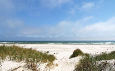 Georg - 300M from the Sea