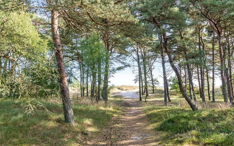 Selvi - 125M from the Sea: Dak, Huis, Huis, Verblijf, Siding, Landgoed, Oprit, Garden Gebouwen, Werf, Schuur
